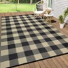 Buffalo Plaid Outdoor Mats Plastic Straw Rug Waterproof Washable Outdoor Rug for Garden Backyard Picnic Camping RV Deck Beach Trailer - 4 of 4