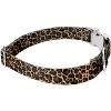 Country Brook Petz Premium Dog Collar - Animal Prints Collection - 3 of 4