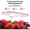 Hydroponic Growing System 12 Pods Indoor Herb Garden Kit With Full Spectrum & Timer & Touch Control - 3 of 4
