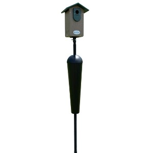 JCS Wildlife Ultimate Bluebird House - Mounting Pole Bundles Available! - 1 of 4