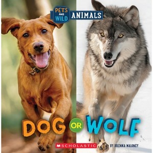 Dog or Wolf (Wild World: Pets and Wild Animals) - by Brenna Maloney - 1 of 1