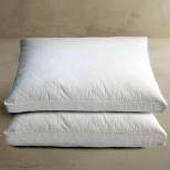 Cotton Quilted White Goose Feather and Down Pillow 2pk White - Blue Ridge Home Fashions