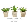 Faux Succulents - Assorted Lifelike Plastic Greenery Arrangements in Decorative Vases for Indoor by Nature Spring (Set of 3) - 3 of 4