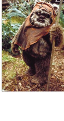 clear push pins bundle