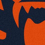 chicago bears