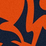 chicago bears