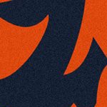 chicago bears