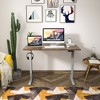 Costway Electric Standing Desk  Adjustable Height Computer Desk Dual Motor w/ Controller - 4 of 4