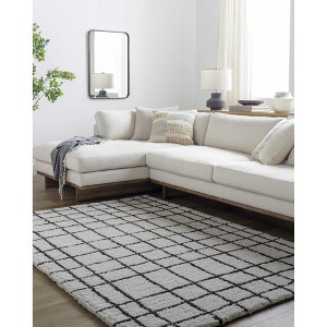 Hauteloom Yaotl Checkered Plush Carpet - 1 of 4