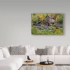 22" x 32" Grist Mill Fall 1 by Galloimages Online - Trademark Fine Art: Canvas, Mid-Century Modern, Photorealism, Unframed - 3 of 4