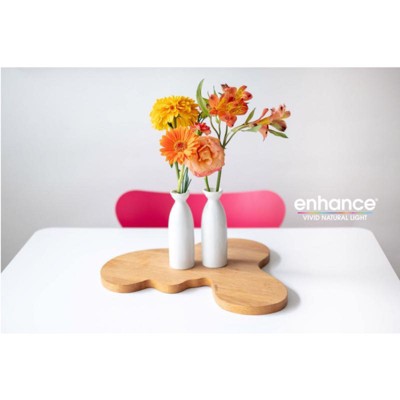 Feit Electric Soft White Frosted LED Bulbs, 40W Equivalent, 2-Pack