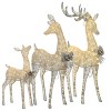 3pc LED Mesh Fabric Deer Family with Remote, Glitter Accents & Ribbons - National Tree Company - 3 of 4