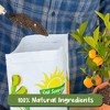 Soil Sunrise Citrus Tree Potting Soil Mix, for Indoor Oranges, Lemons, Limes and More - 4 of 4