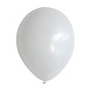 Botanical Décor Balloon Pack - Spritz™ : Target