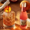 Fever Tree Blood Orange Ginger Beer - Premium Quality Mixer - Refreshing Beverage for Cocktails & Mocktails 200ml Bottles - 4 of 4