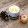 Pavilion Gift Company - My Cabin - 11 oz - 100% Soy Wax Reveal Candle Scent: Tranquility - Flame Candles - 2 of 4