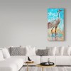 Trademark Fine Art -Cecile Broz 'Sandhill Cranes Ii' Canvas Art - 3 of 3