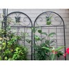 Vynxaria Metal Garden Trellis, 2 Pack Metal Trellis for Climbing Plants, Indoor/Outdoor Plant Trellis for Potted Plants, House Plants - 2 of 4