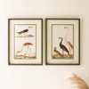 Birds Framed Wall Art Set – 21"H Wood & Glass Printed Bird Illustrations with Light Mattes (Set of 2) By Kalalou - 2 of 3