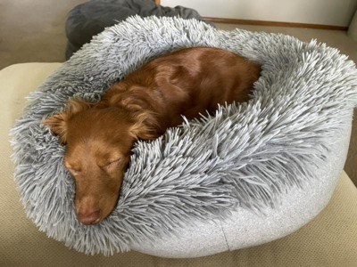 Super Plush Cuddler Round Dog Bed - Gray - Boots & Barkley™ : Target