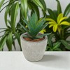 Unique Bargains Artificial Plants Mini Serrated Edge Aloe in Pulp Plastic 3.54"x3.54"x4.72" 1Pcs - 2 of 4