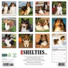 Willow Creek Press 12"x12" 2026 Shelties Wall Calendar - 2 of 4