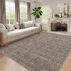 Acekool Washable Area Rug, Non-Slip Modern Carpet for Living Room, Bedroom, Dining Room, Playroom, Office, Low Pile, Soft - 3 of 4