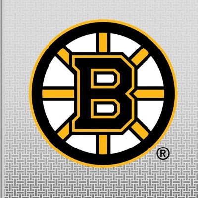 boston bruins
