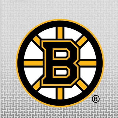 boston bruins