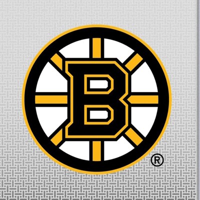 boston bruins