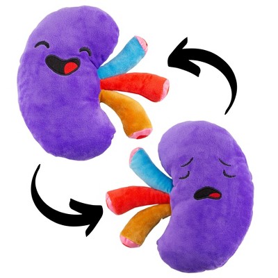 Attatoy Plush Kidney, Stuffed Body Organ Toy; Get Well Gift, Health Education and More