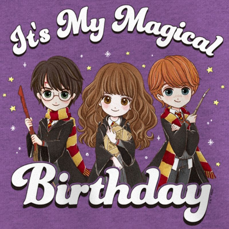 Girl's Harry Potter It’s My Magical Birthday Cute Characters T-Shirt, 2 of 5