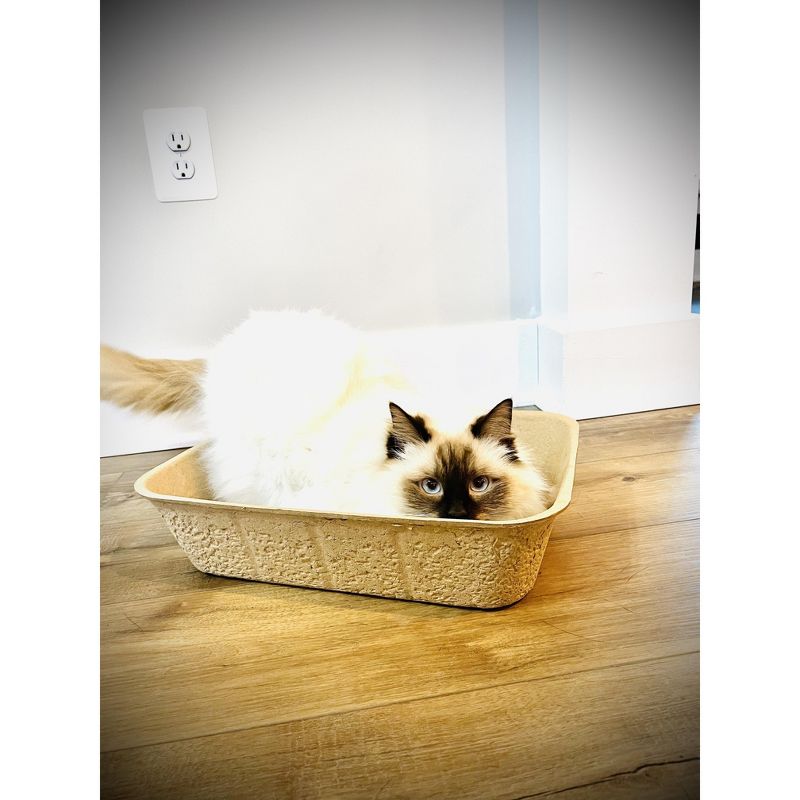 Midlee Disposable Cat Litter Boxes Pack of 5- Travel Portable Pet Tray Liner, 2 of 8
