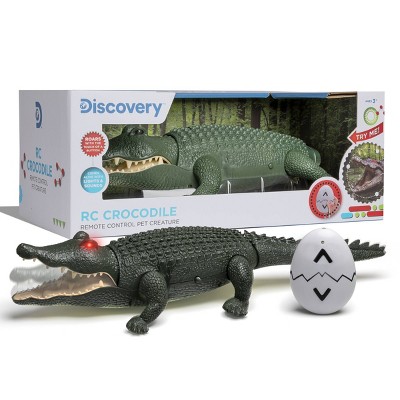 Discovery Kids RC Crocodile