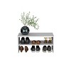 Vynxaria 23" Wide 2-Tier Stackable Shoe Rack, Efficient Storage Solution - 2 of 4