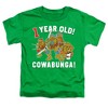 Toddler Boys' Teenage Mutant Ninja Turtles Cowabunga Birthday Toddler Tee - 2 of 4