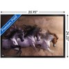 Trends International Laurie Prindle - Run To Freedom Framed Wall Poster Prints - 3 of 4