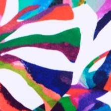 rainbow palms