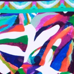 rainbow palms