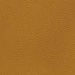 central florida golden knights