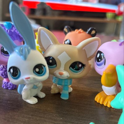 COLECCION ESPECIAL MINI PACK 2 LITTLEST PET SHOP