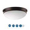 Progress Lighting, Etched Glass Collection, 1-Light Flush Mount, Antique Bronze, Material: Glass, Finish Color: Antique Bronze - 2 of 3