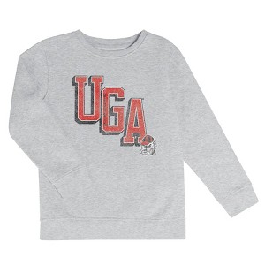 NCAA Georgia Bulldogs Boys' Ash Crew Neck Fleece Sweatshirt - XS