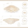 Cheung's 6134 - Vail Sea Shell Catchall Tray - 4 of 4