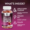 Nature's Nutrition Apple Vinegar Gummy for Weight Loss 1000mg - Vegan Apple Cider Vinegar Gummies for Detox & Cleanse, ACV - 60 Gummies - 2 of 4