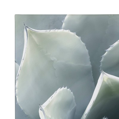 Soft Botanical Succulents Green and Gray Canvas Wall Art Set