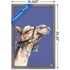 Trends International Snowtap - Camel Photobomb Framed Wall Poster Prints - 3 of 4