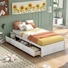 NicBex Twin Size Platform Bed Frame with 3 Drawers for Kids/Boys/Girls,Solid Wood Slats Support,Easy Assembly,Cherry/Oak/White - 2 of 4