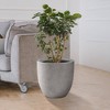 Rosemead Home & Garden Concrete Outdoor Planter Pot Cement Gray 13.39"x13.39"x12.6" - 3 of 4