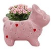 Live Valentine's Day 2" Kalanchoe Potted Plant in Pink Hearts Frenchie Planter - Spritz™ - 2 of 3